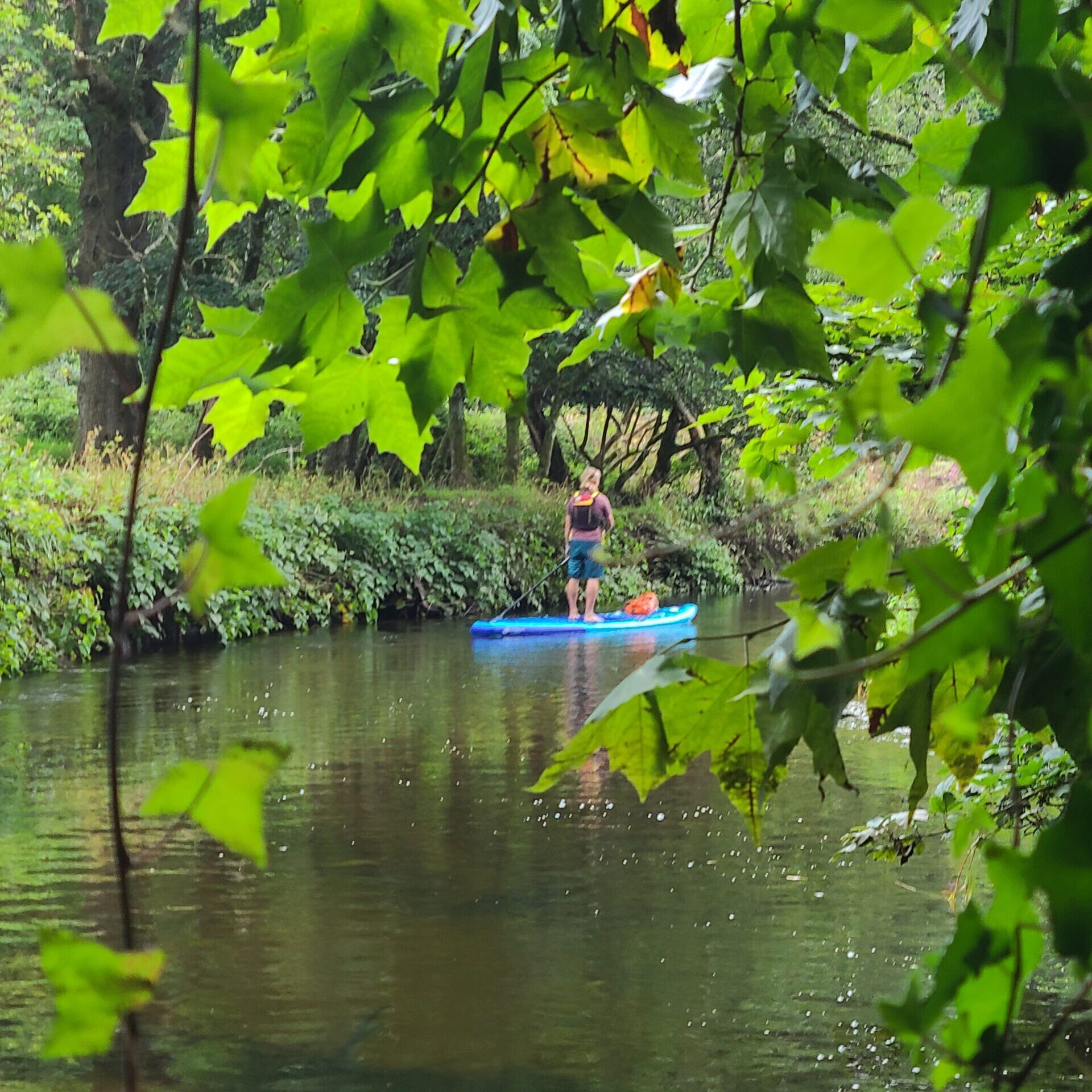 Paddleboarding in south devon